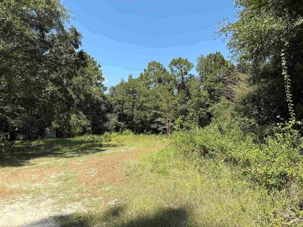 Land for sale in Leon County, Florida