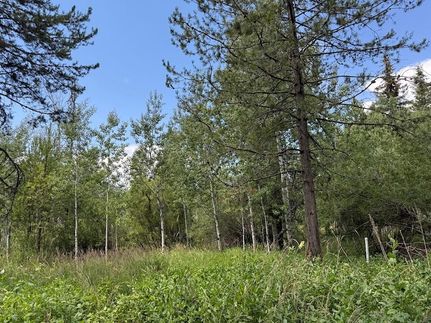 Land for sale in Valley County, Idaho