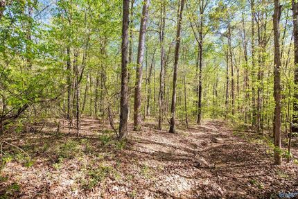 Land for sale in Lawrence County, Alabama