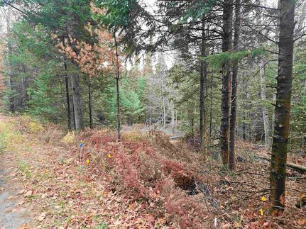 Land for sale in Grafton County, New Hampshire