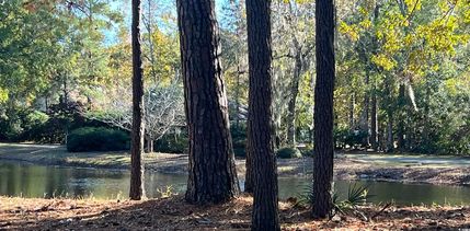 Land for sale in Georgetown County, South Carolina