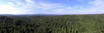 Land for sale in Pickens County, Georgia