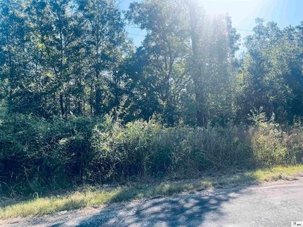 Homesite for sale in Morehouse Parish, Louisiana