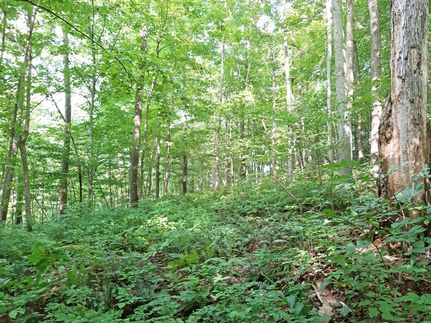 Land for sale in Monongalia County, West Virginia