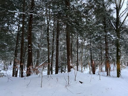 Land for sale in Oswego County, New York