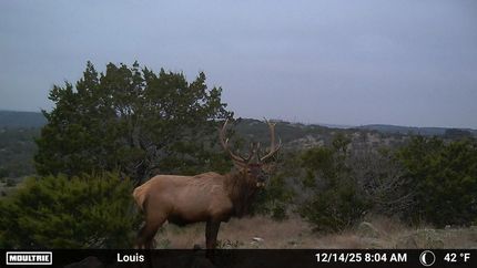 Hunting Property for sale in Edwards County, Texas