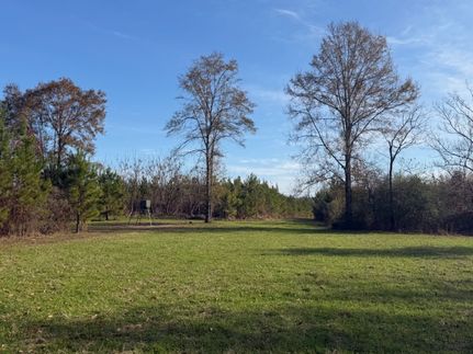 Land for sale in Wilcox County, Alabama