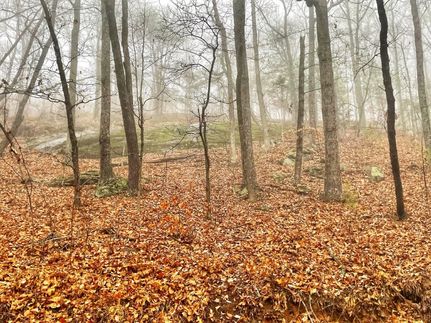 Land for sale in Iredell County, North Carolina