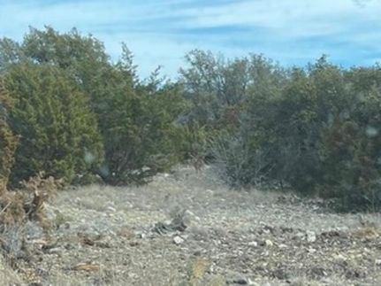 Recreational Property for sale in Edwards County, Texas