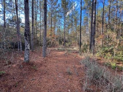 Land for sale in Covington County, Alabama