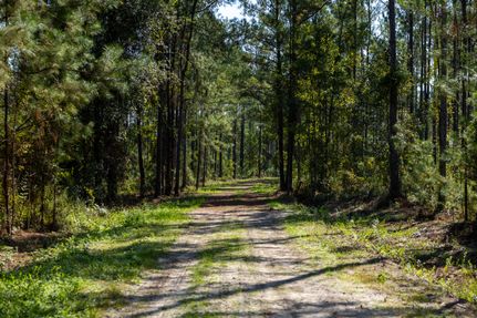 Land for sale in Nassau County, Florida