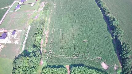 Land for sale in Marion County, South Carolina