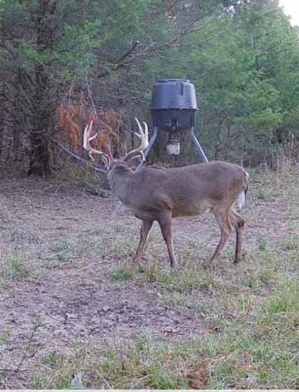 Land for sale in Montgomery County, Alabama