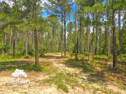 Land for sale in Burke County, Georgia