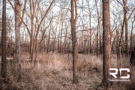 Land for sale in Barton County, Kansas