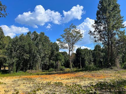 Land for sale in Elmore County, Alabama