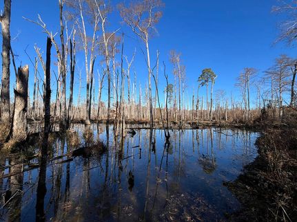 Land for sale in Jackson Parish, Louisiana