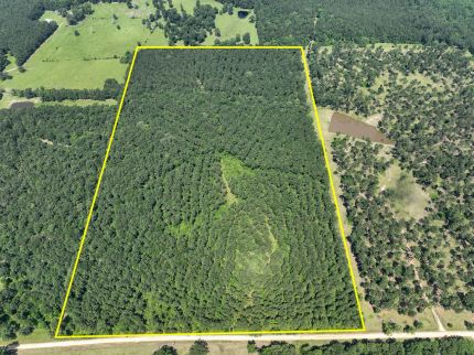 Land for sale in Trinity County, Texas
