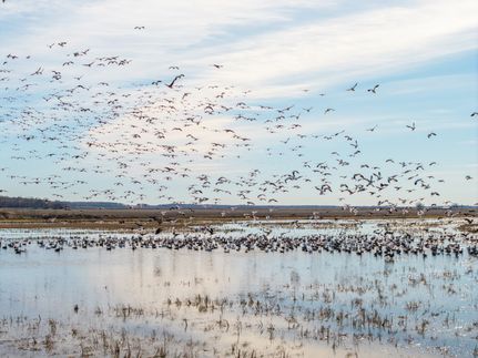 Farm and Ranch for sale in Monroe County, Arkansas