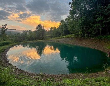 Land for sale in Allegany County, New York