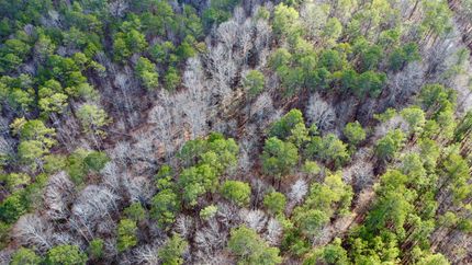 Recreational Property for sale in Clay County, Alabama