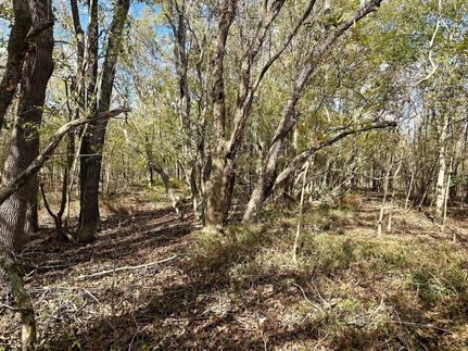 Land for sale in Franklin Parish, Louisiana