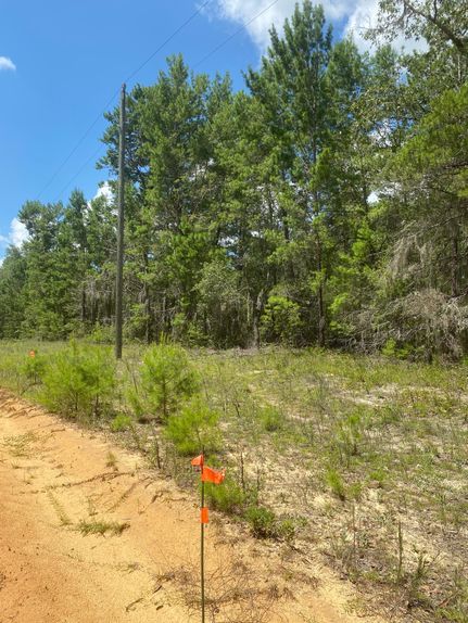 Land for sale in Putnam County, Florida