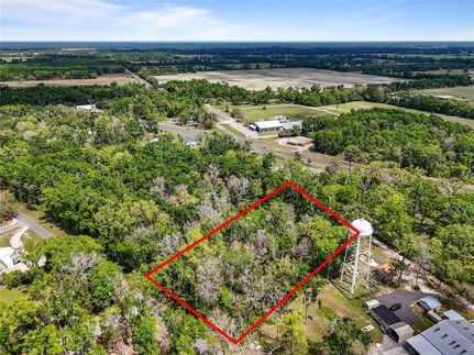 Land for sale in Levy County, Florida