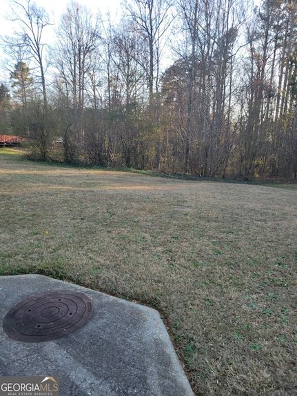 Undeveloped Land for sale in Gwinnett County, Georgia