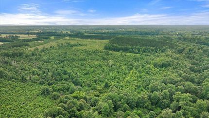 Land for sale in Smith County, Mississippi