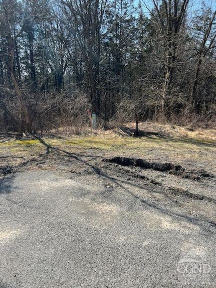 Land for sale in Greene County, New York