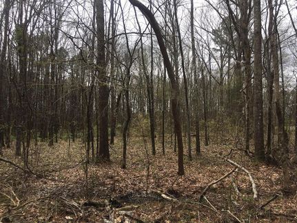 Land for sale in Oktibbeha County, Mississippi