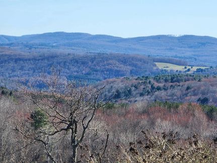 Land for sale in Schoharie County, New York