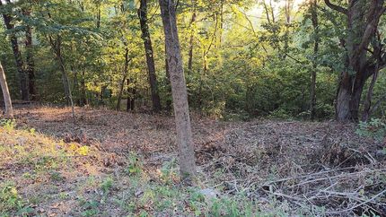Land for sale in DeKalb County, Tennessee