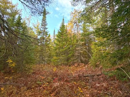 Land for sale in Chippewa County, Michigan
