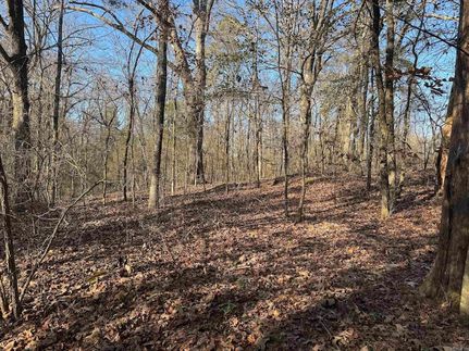 Land for sale in Pike County, Arkansas