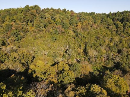 Land for sale in Coffee County, Tennessee