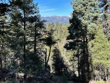 Land for sale in Colfax County, New Mexico