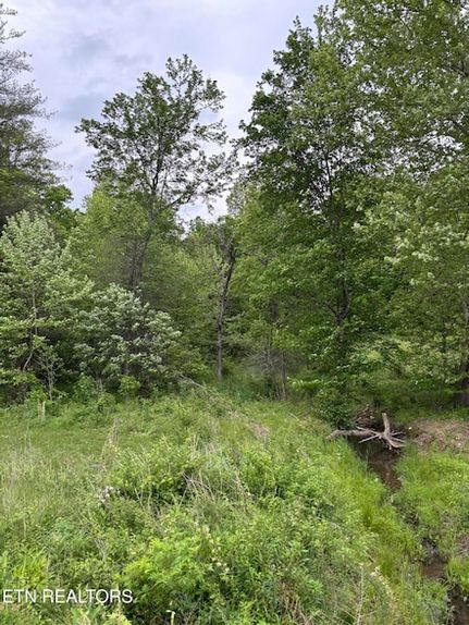 Land for sale in Scott County, Tennessee