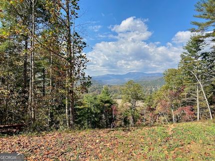 Undeveloped Land for sale in Rabun County, Georgia