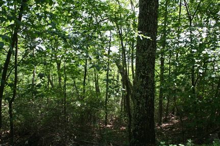 Homesite for sale in Highland County, Virginia