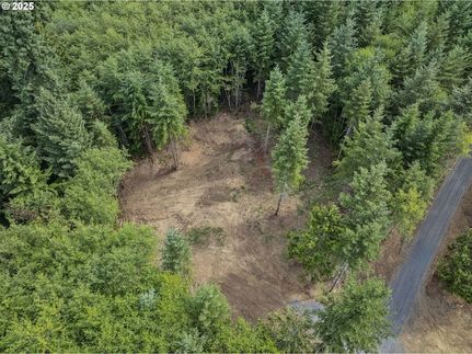 Homesite for sale in Cowlitz County, Washington