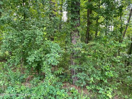 Land for sale in Tallapoosa County, Alabama