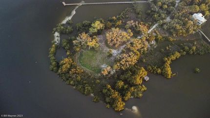 Land for sale in Levy County, Florida