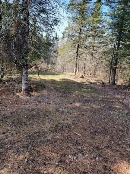 Waterfront Property for sale in Sawyer County, Wisconsin