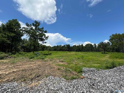 Land for sale in Marshall County, Alabama