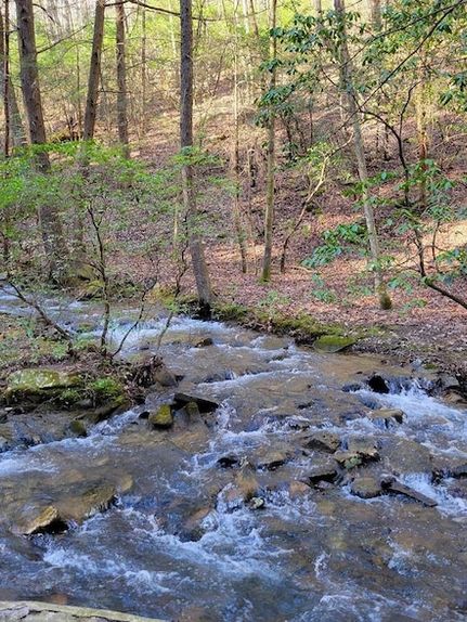 Land for sale in Sequatchie County, Tennessee