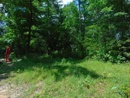 Land for sale in Angelina County, Texas