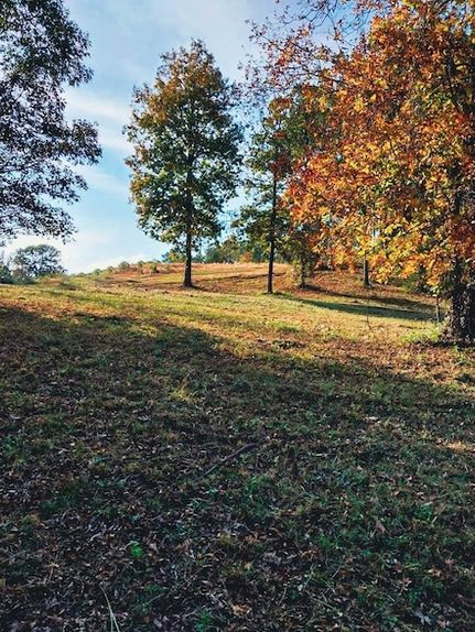 Land for sale in Franklin County, Alabama