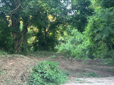 Land for sale in Marion County, Kentucky